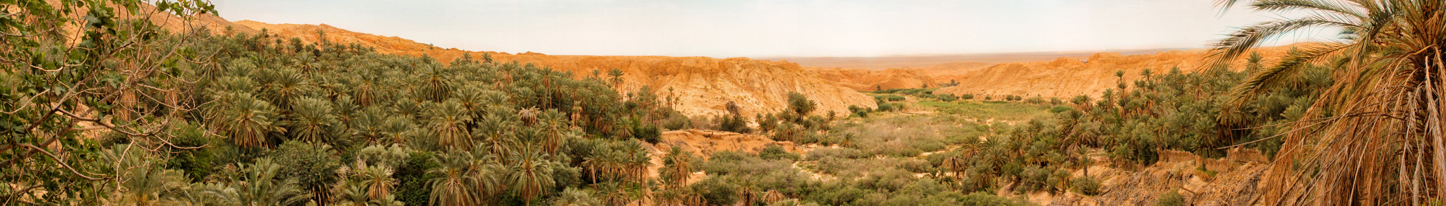 Tebessa_province,_northeast_Algeria_banner_Oasis_de_Negrine Oasis